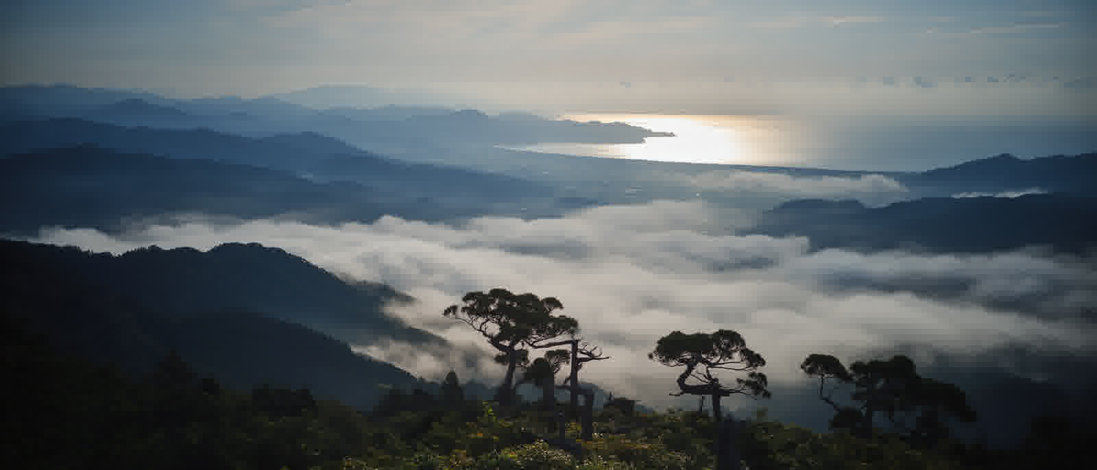 Osado mountains at dawn, sea and cloud in cool first light