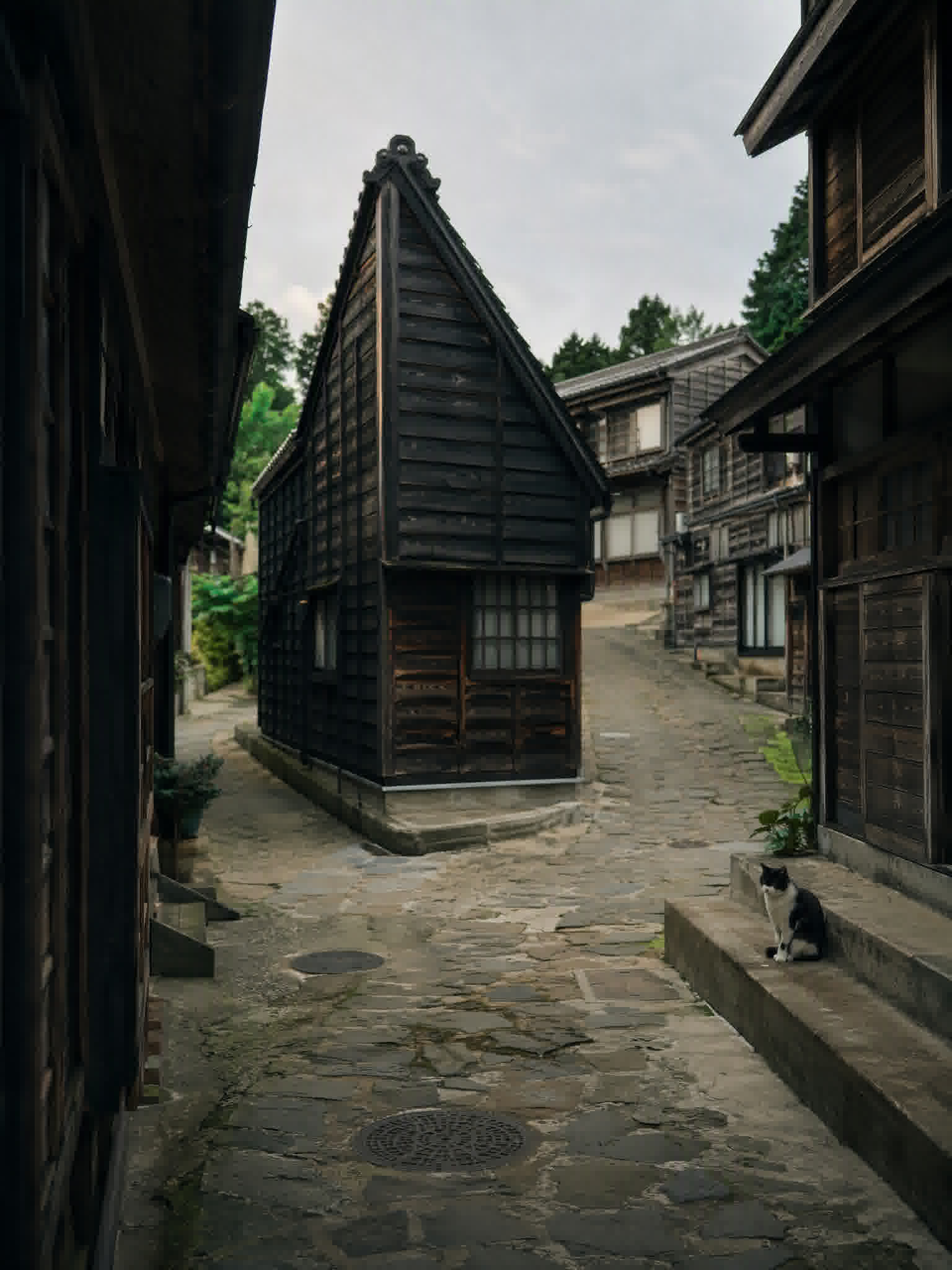 Narrow planked lane in Shukunegi village